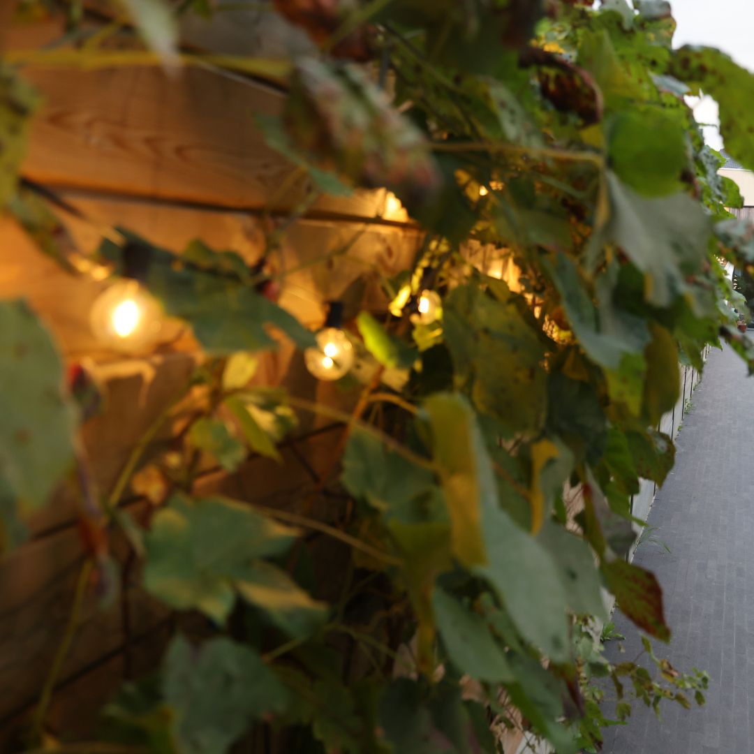 Massage+ Yoga Coaching- afspraak inboeken per mail annelies.hiel@hotmail.com